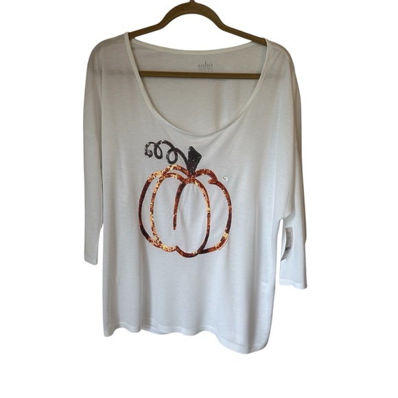 Lot of 2 Womens Fall Pumpkin & Winter Red Bow Holiday Tshirts Size Large NWT - Picture 7 of 13